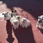 La Casa De La Abuela Rosy