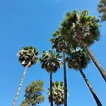 Vas Malaga Ciudad