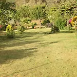The Dragonfly Retreat