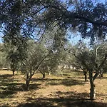 Alojamiento con Encanto en Málaga