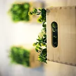 Cute Center Apartment