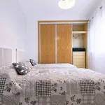 DV nice apartments