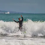 Carpe Diem De Malaga