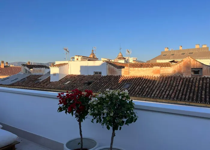 Atarazanas Suite, Atico Con Terraza