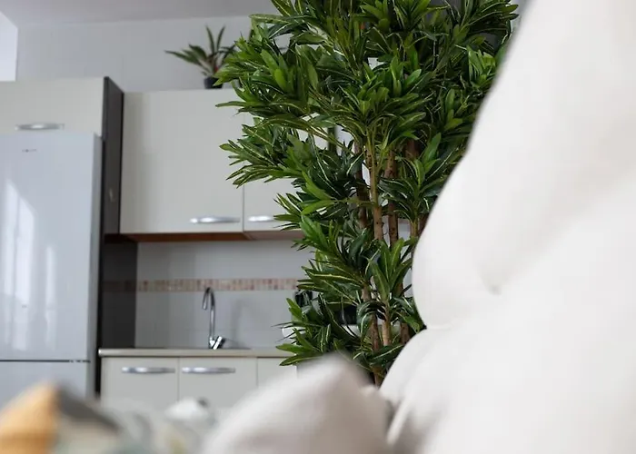 Trinidad Apartment