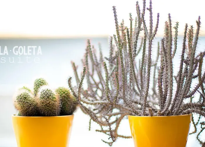 La Goleta Suite