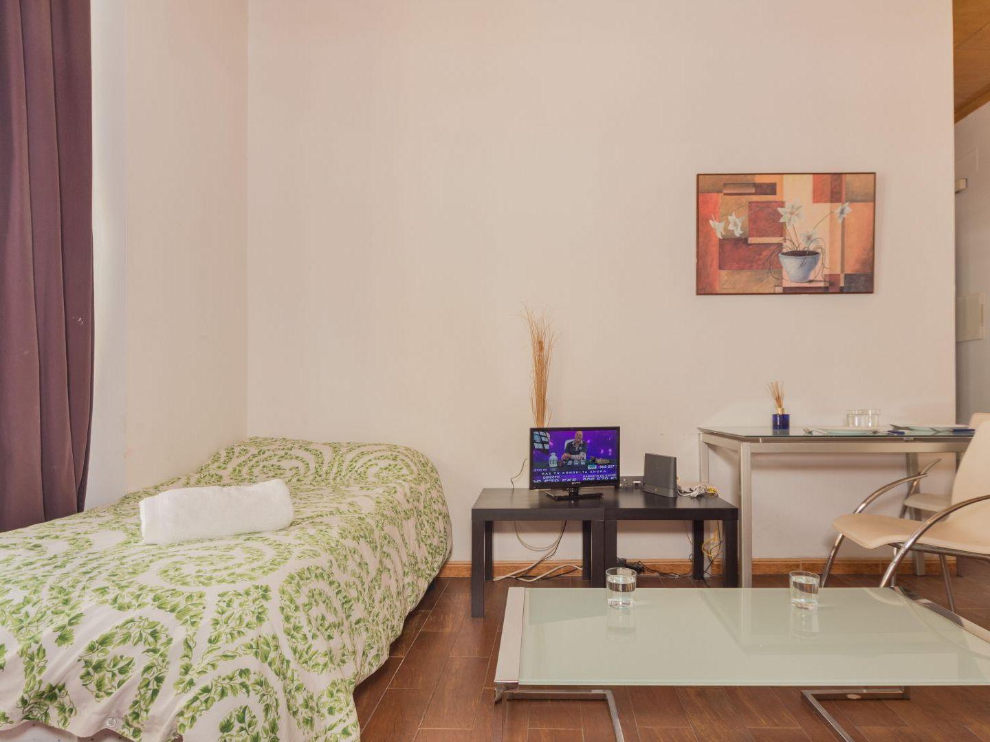 Apartment Carreteria Loft Malaga