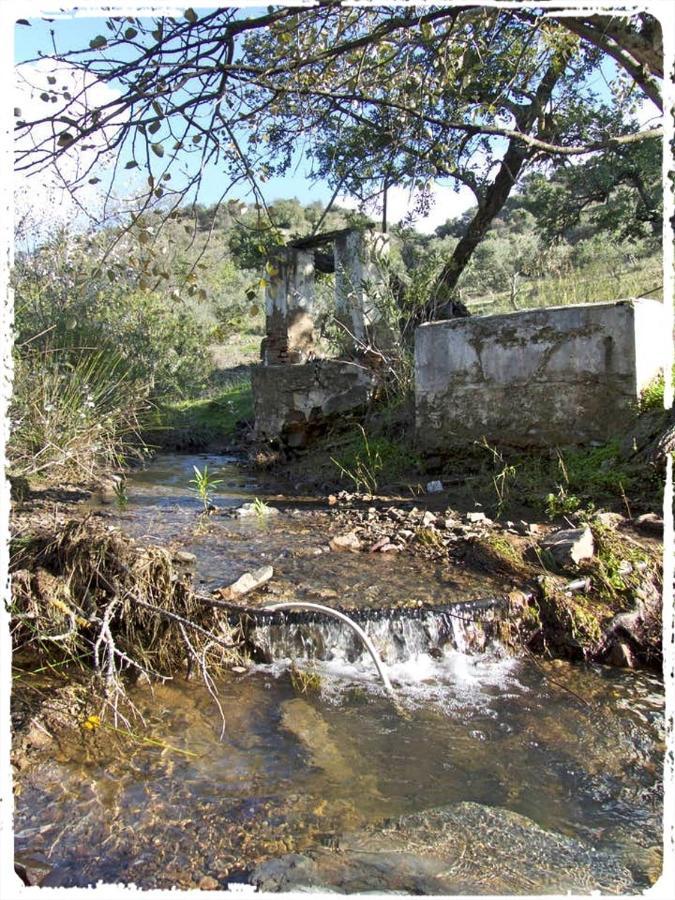 Cortijo Casas Viejas Holiday home *