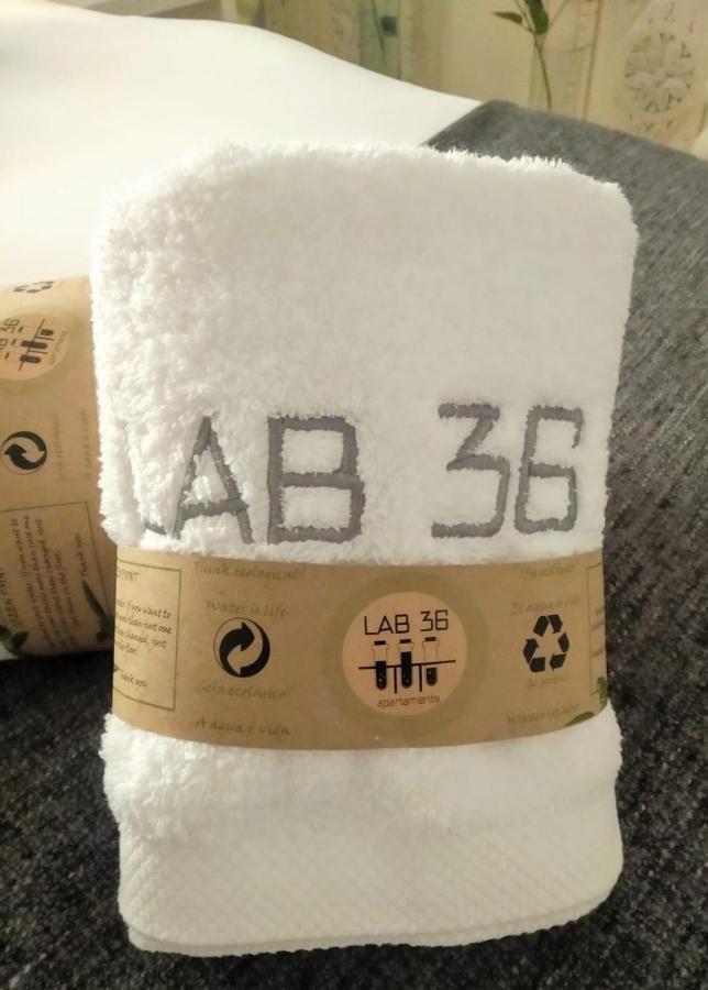 Lab 36 Apartment *