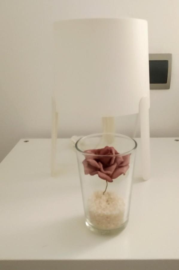 Lab 36 * Malaga
