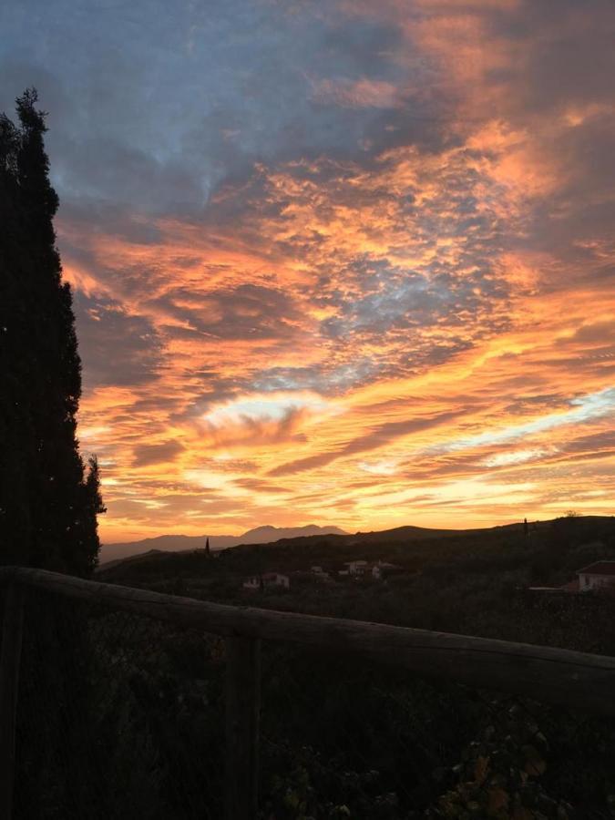 La Higuera Chica Сasa de vacaciones Málaga