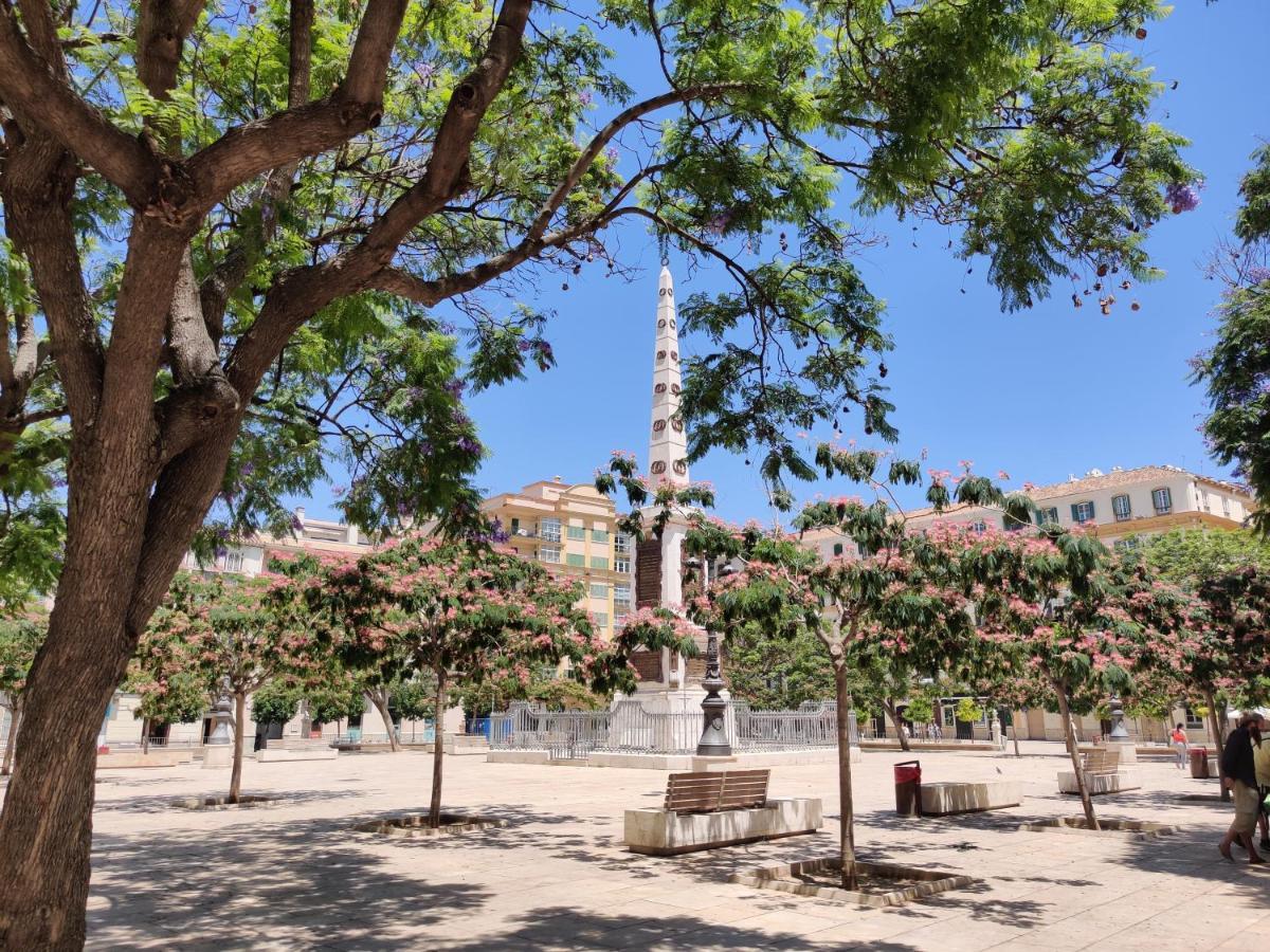 Hin17 Estudio 3 * Malaga