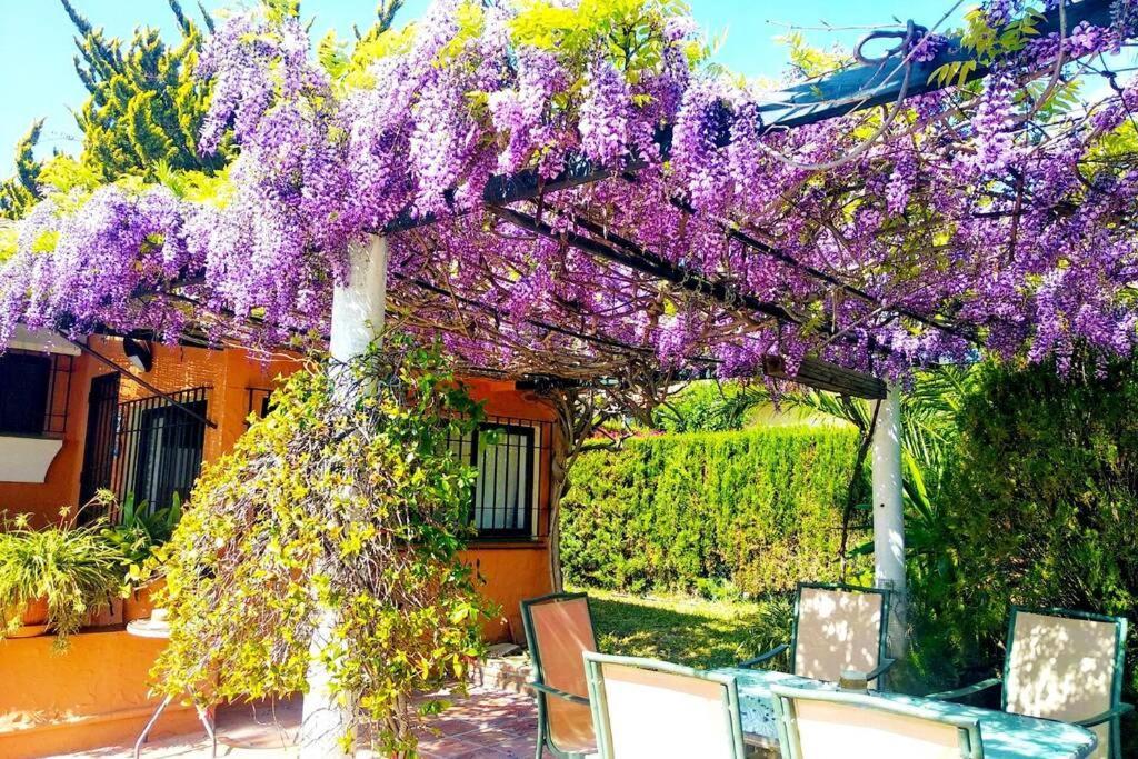 Torrenueva Villa Malaga