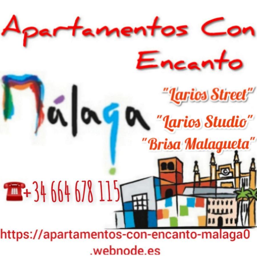 Apartamento Con Encanto 'larios Studio'