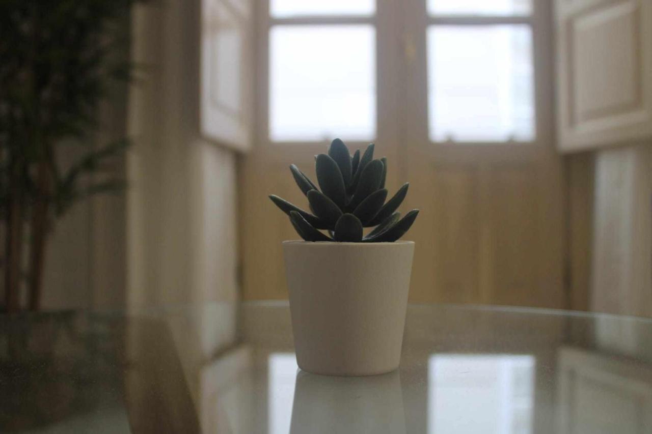 Acogedor Apartamento En El Corazon De Appartement *