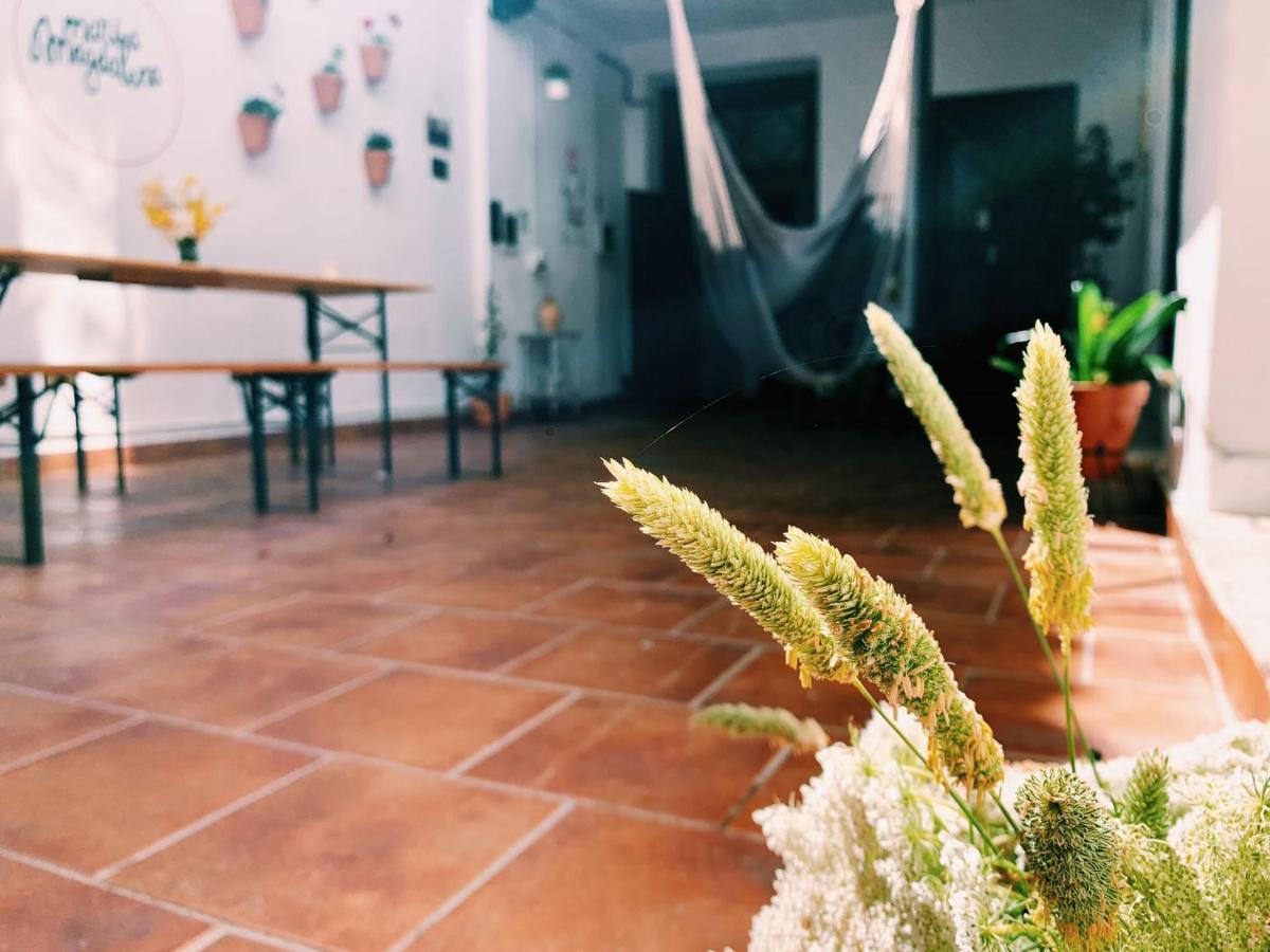 Maria Magdalena - 1 Homestay *