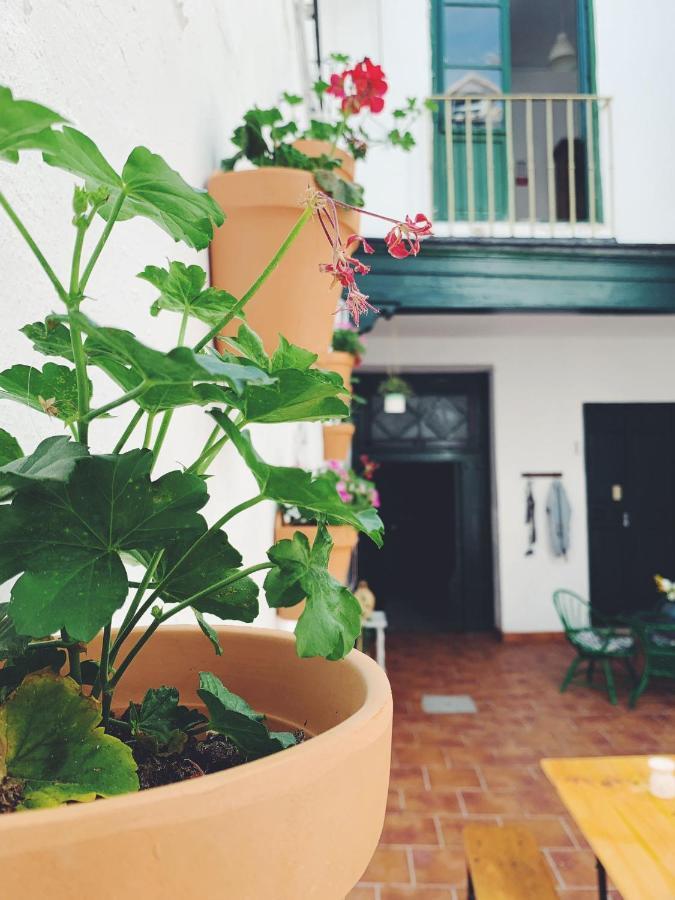 Homestay Maria Magdalena - 5