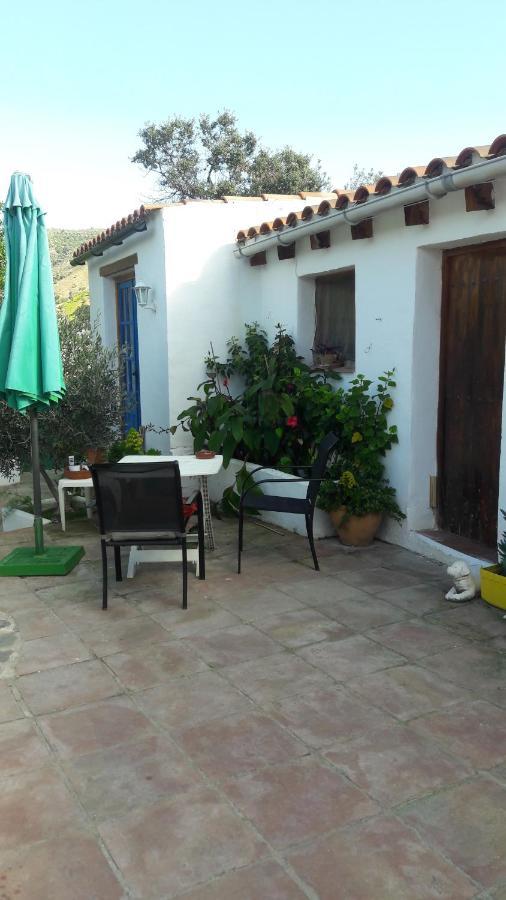 Casa Patricia Apartment