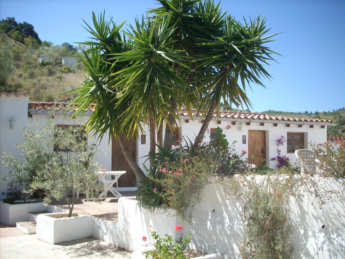 Apartment Casa Patricia *