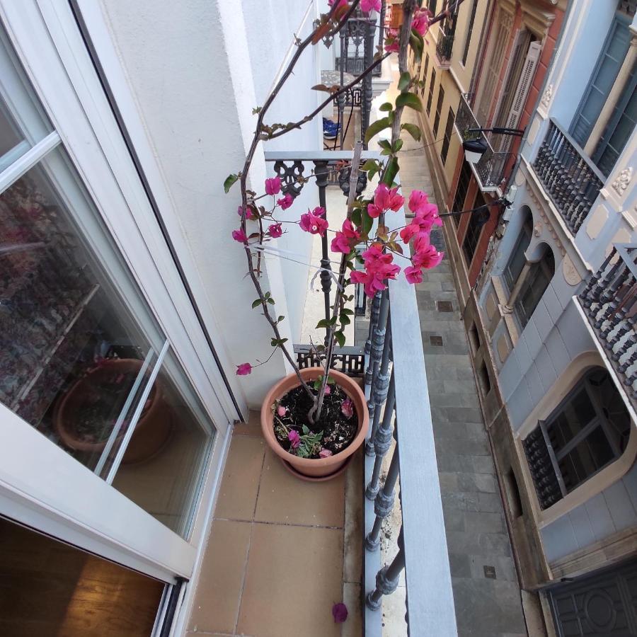 Centro * Malaga
