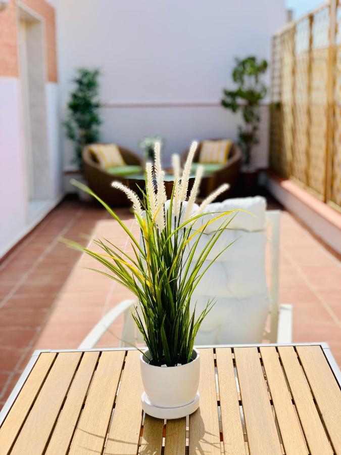 Flores - Atico Duplex Con Terraza - Probeyma - Appartement