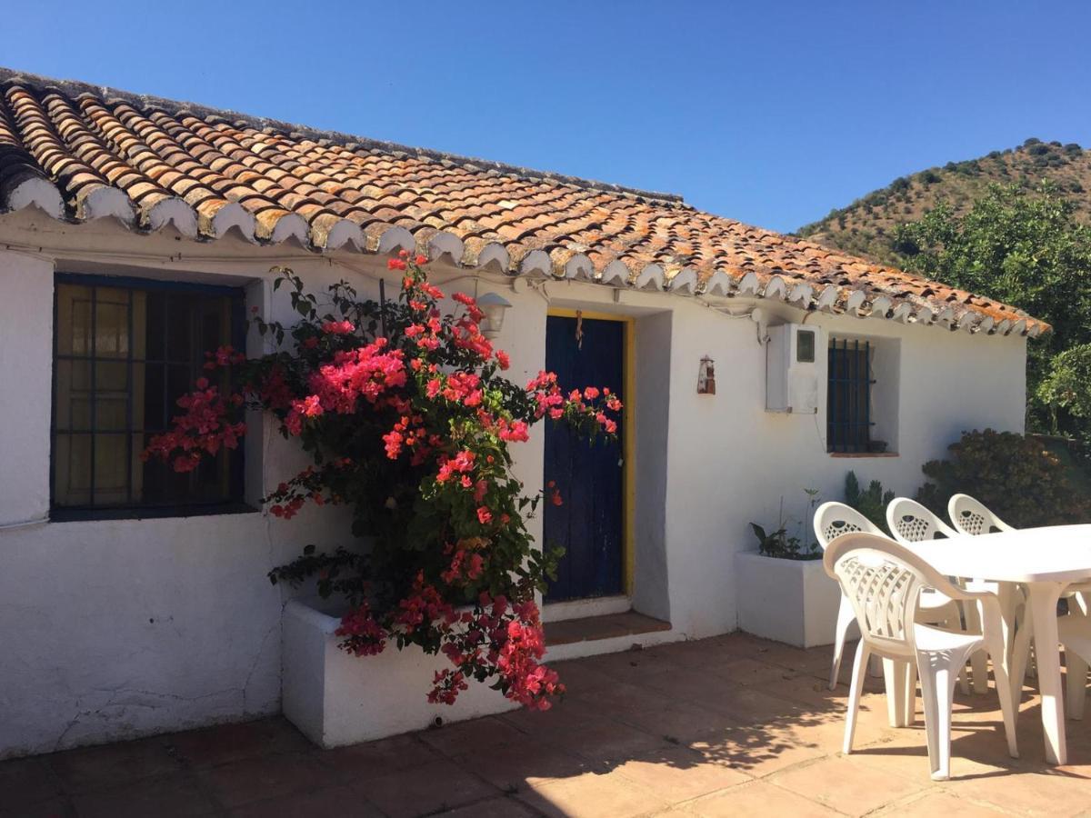Casa Patricia * Malaga