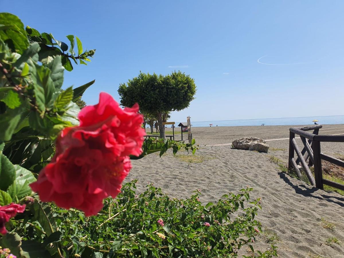 Wi-fi Alta Velocidad De 1 Gbps Rodeado De Naturaleza Malaga