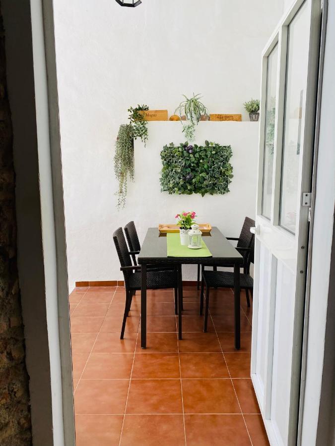 Apartment Clemens9 Premium