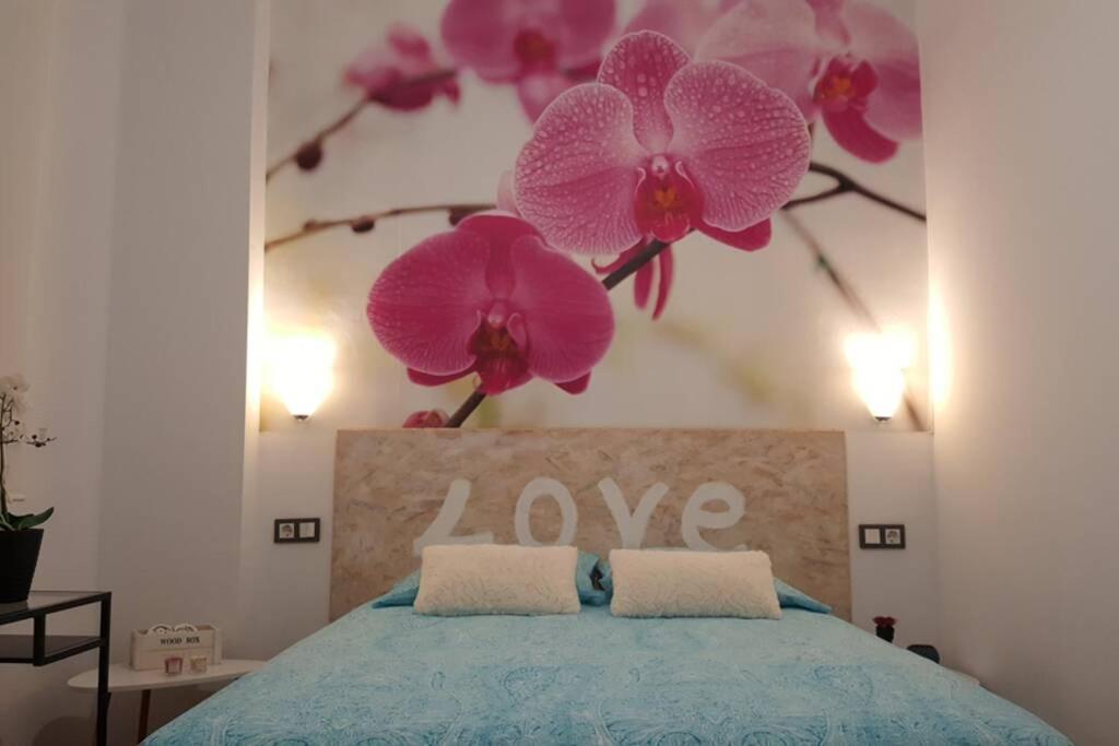 Apartamento Jinetes *