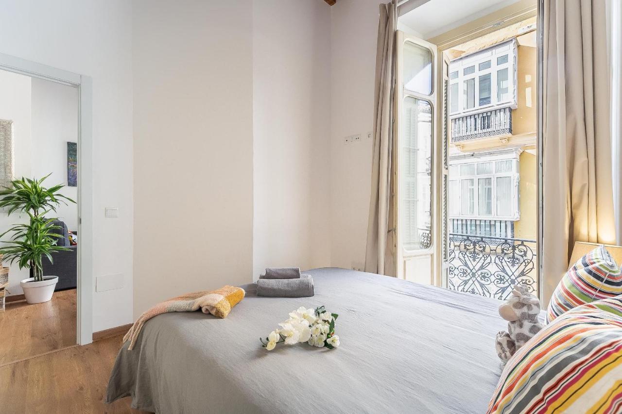 Deluxe Larios Center Apartment