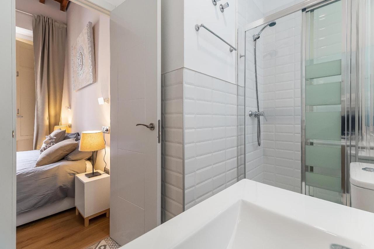 Deluxe Larios Center Apartment