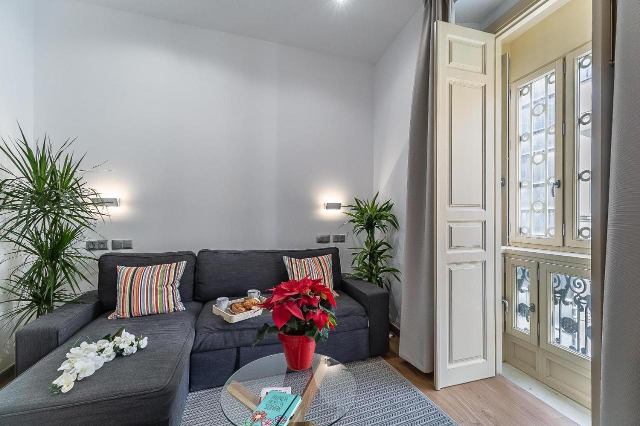 Deluxe Larios Center Apartment *
