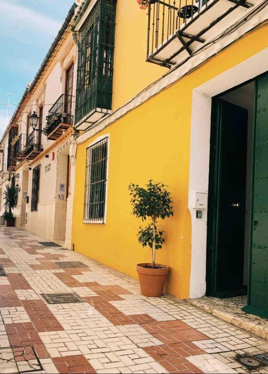 Maria Magdalena - 1 * Malaga