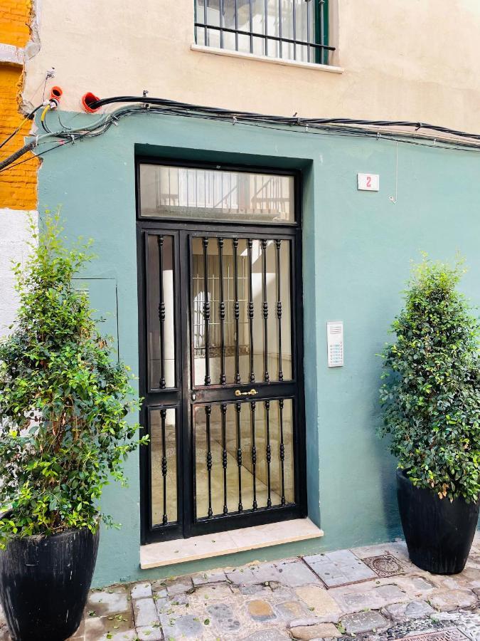 Paloma Solarium Centro Historico Malaga