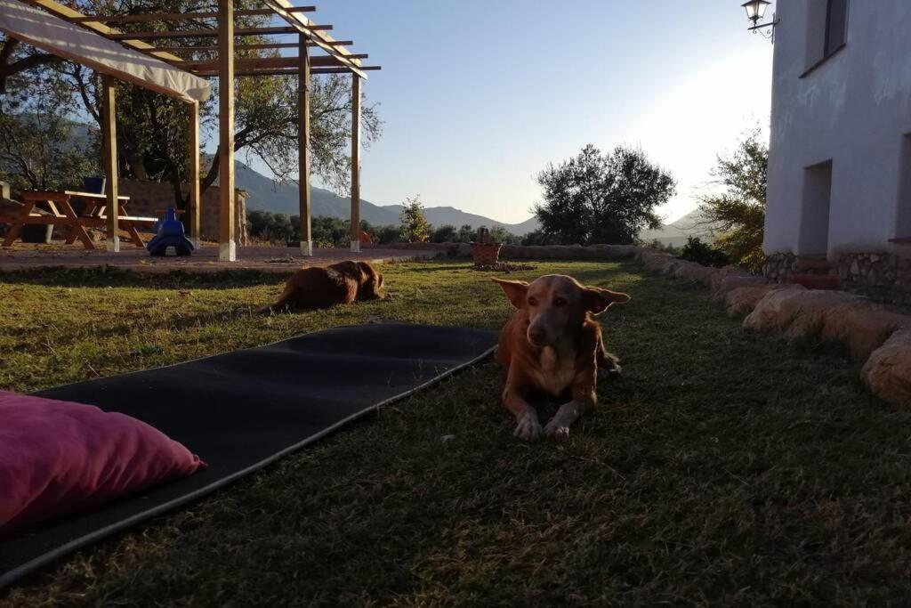 Holiday home Cortijo Rural Gumeo