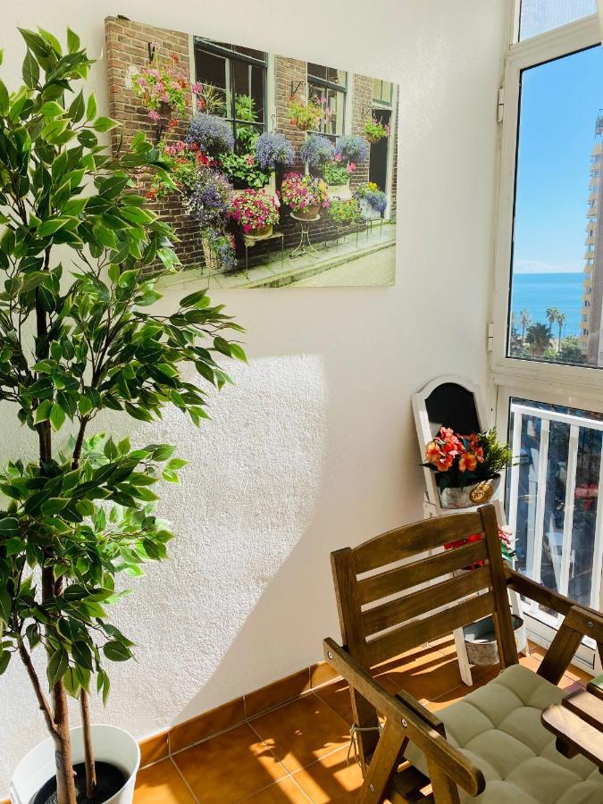 Malagueta Premium Malaga