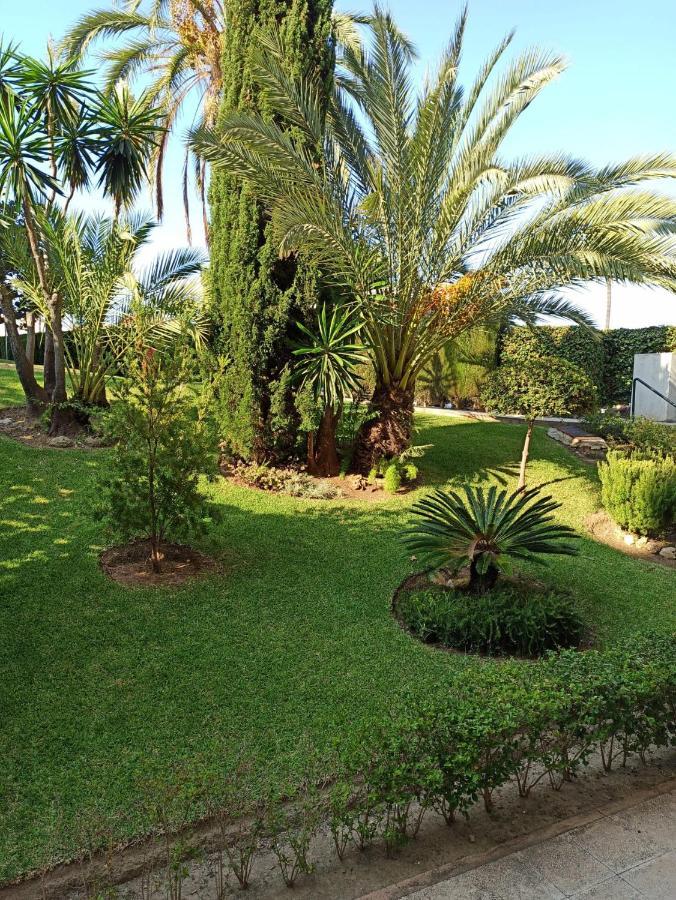 Chari Suites Homestay *