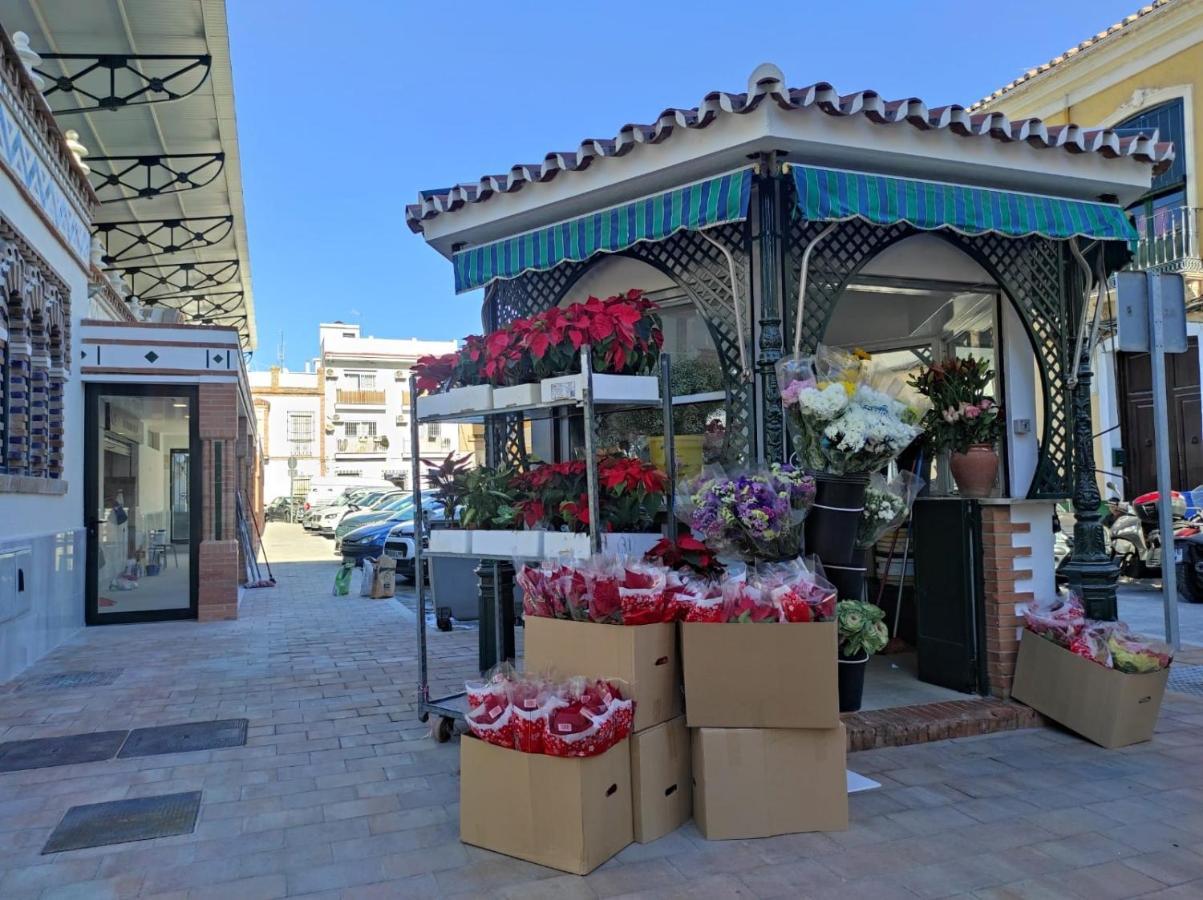La Terraza De Salomon *