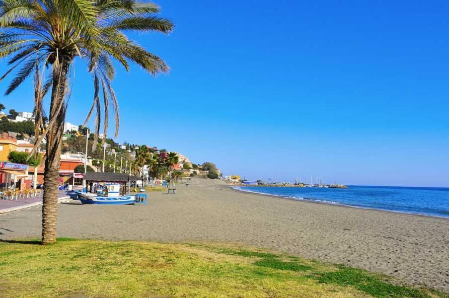 El Bambu Cerca Del Mar