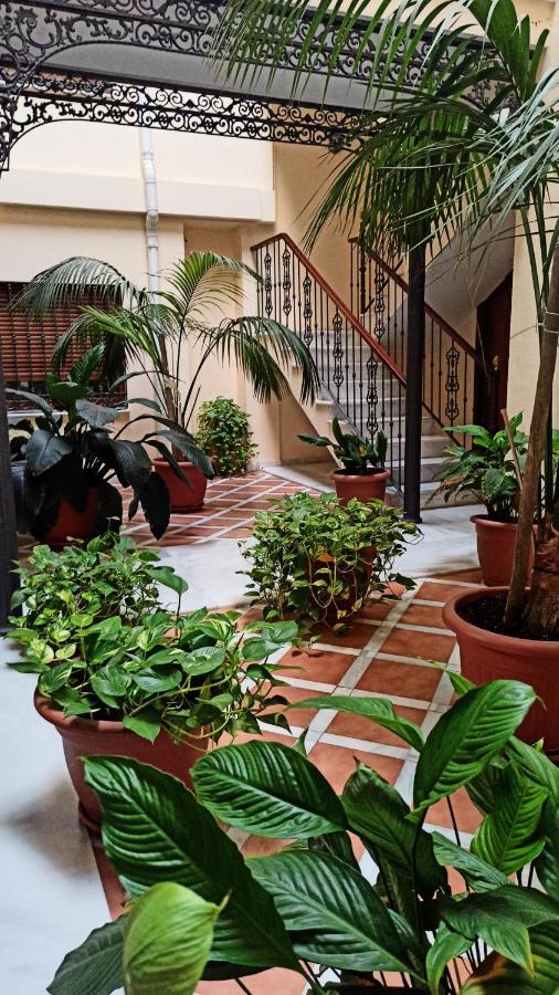 Botanic Apartment *