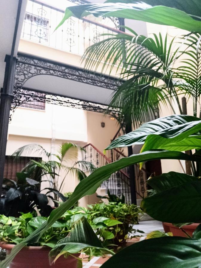 Botanic Apartment Malaga