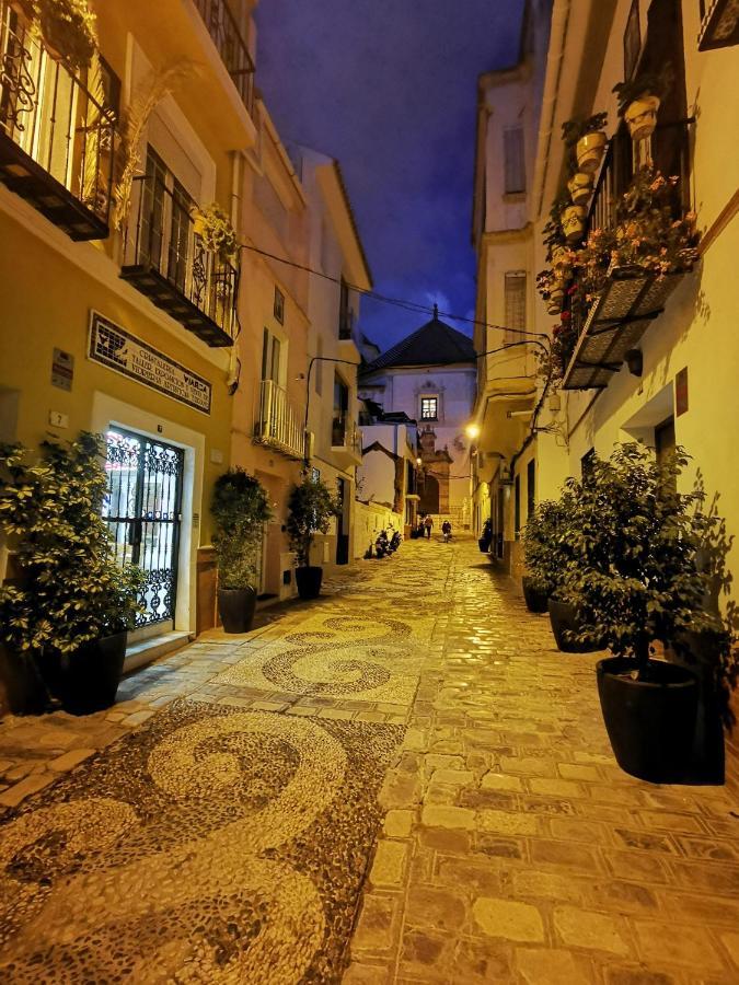 Ferienhaus Urban Rose , Superb Private House In Historical Center, With Sunny Rooftop