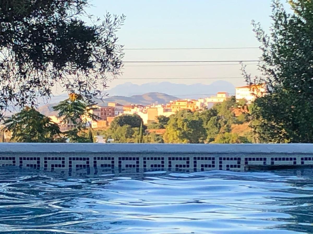 Tottam Art & Healthy Garden Malaga