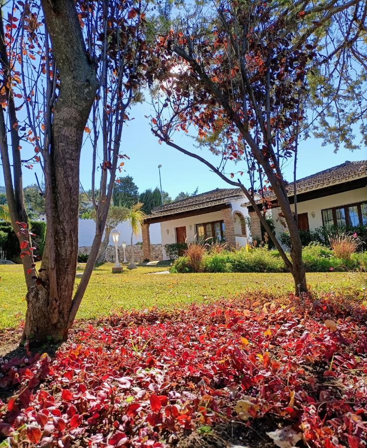 Tottam Art & Healthy Garden Lodge Malaga