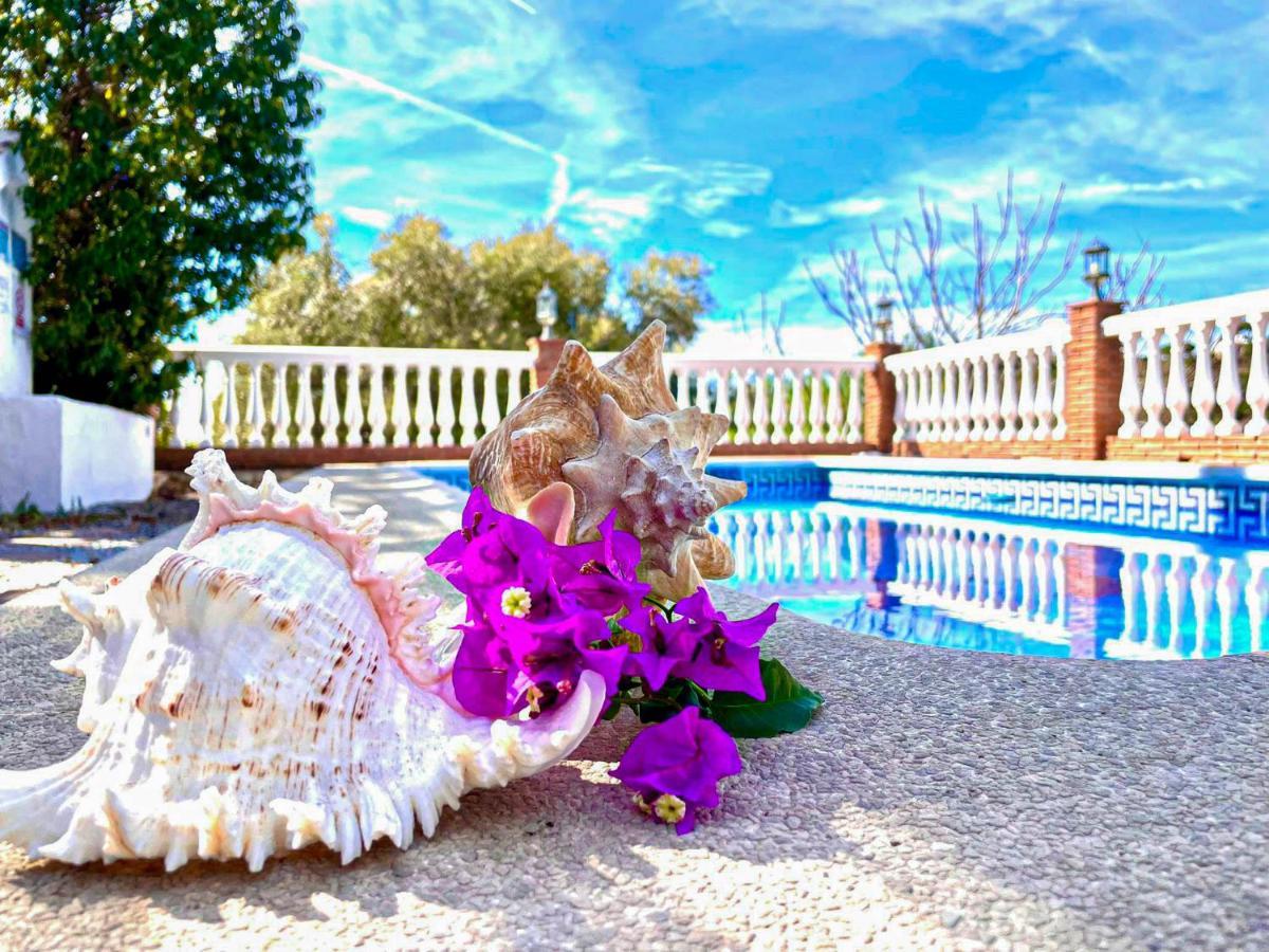 El Buho Holiday home Malaga