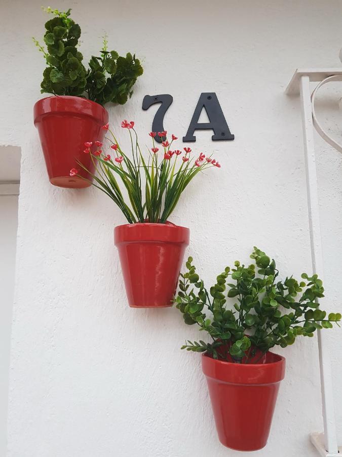 Tres Macetas