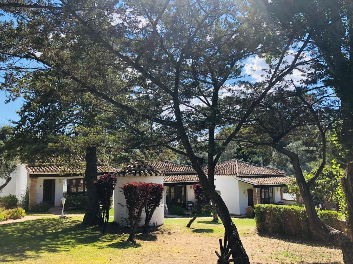 Lodge Tottam Art & Healthy Garden Malaga