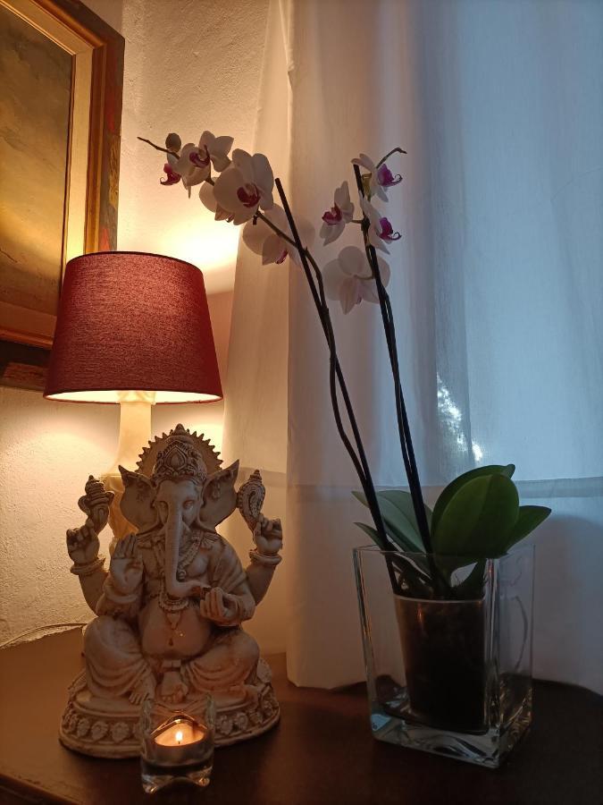 Tottam Art & Healthy Garden Malaga