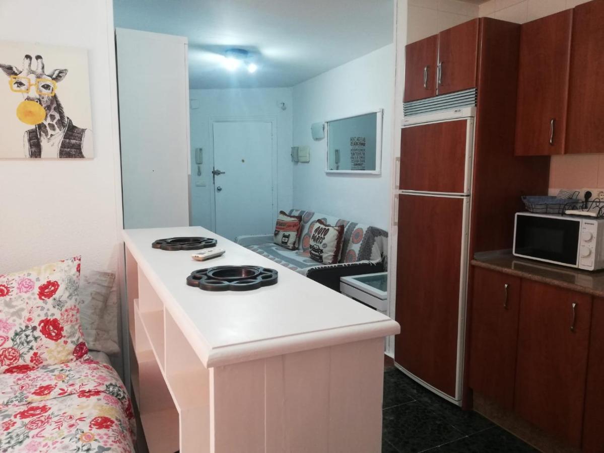 Apartamento Con Encanto 'larios Studio' *