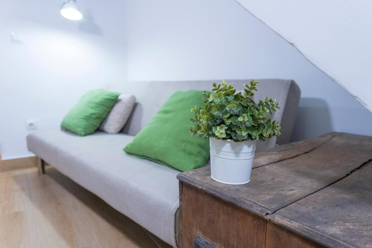 Loft In Historical Center *